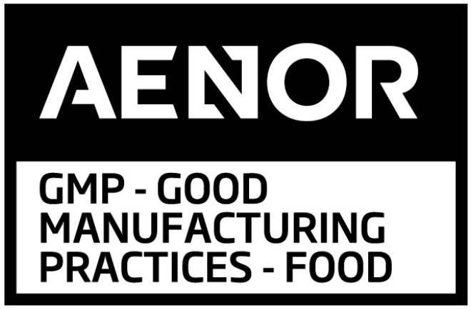 logo GMP